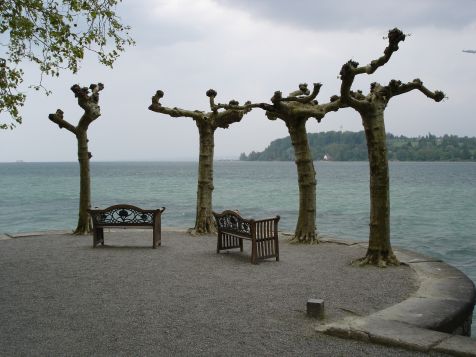 Mainau Baenke