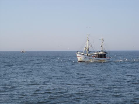 Helgoland Krabbenkutter