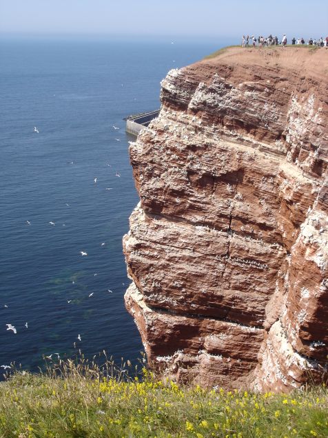 Helgoland Lummenfelsen