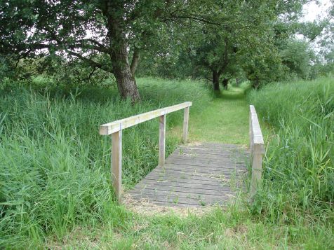 Moorlehrpfad Holzbruecke
