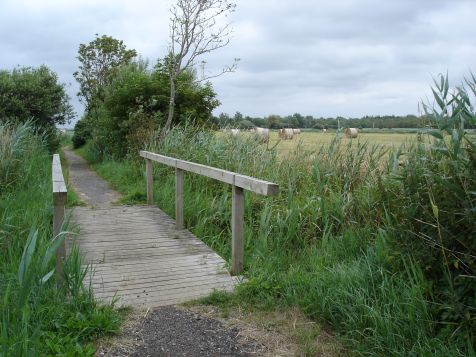 Moorlehrpfad Holzbruecke