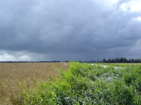 Wetter Vosskuhle
