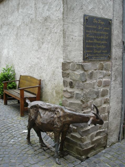Goarshausen Ziege