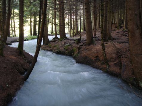 Sand Reinbach Nebenzufluss