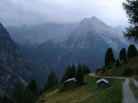 Vegetationsweg Rueckweg dunkle Wolken