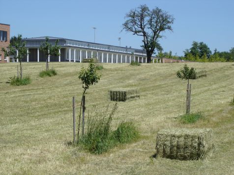 College Feld